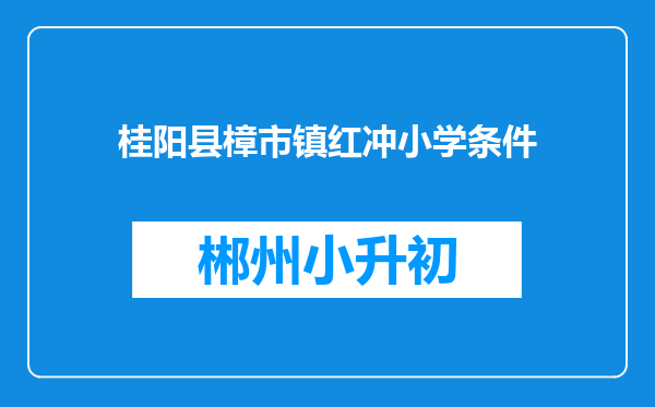 桂阳县樟市镇红冲小学条件