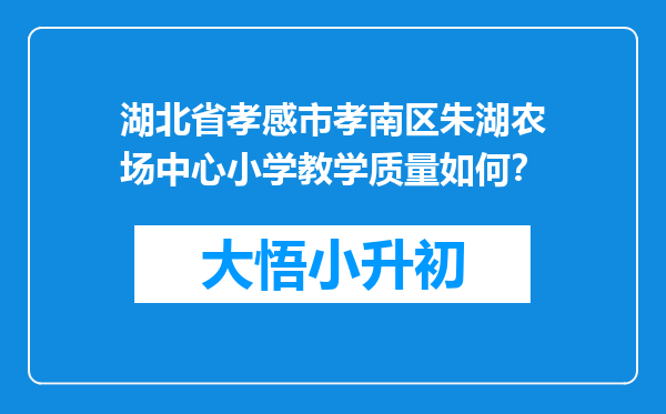 湖北省孝感市孝南区朱湖农场中心小学教学质量如何？