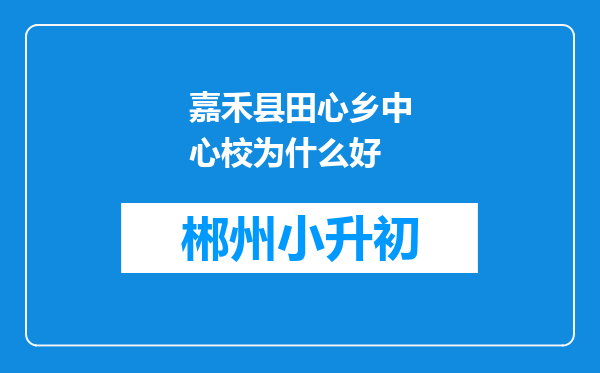 嘉禾县田心乡中心校为什么好