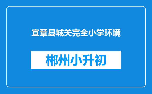 宜章县城关完全小学环境