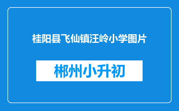 桂阳县飞仙镇汪岭小学图片