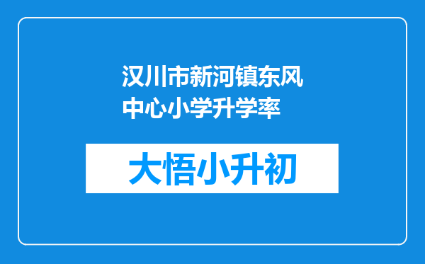汉川市新河镇东风中心小学升学率