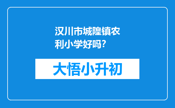 汉川市城隍镇农利小学好吗？