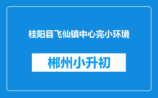 桂阳县飞仙镇中心完小环境