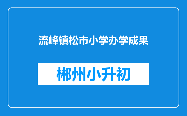 流峰镇松市小学办学成果