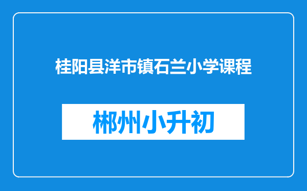 桂阳县洋市镇石兰小学课程