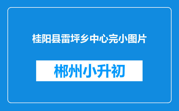 桂阳县雷坪乡中心完小图片