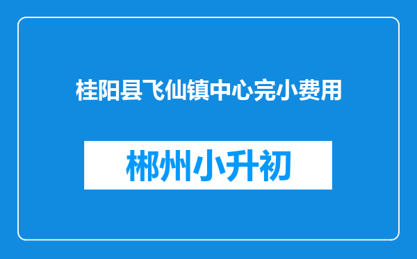 桂阳县飞仙镇中心完小费用