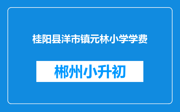 桂阳县洋市镇元林小学学费