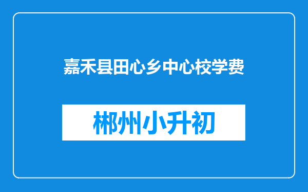 嘉禾县田心乡中心校学费