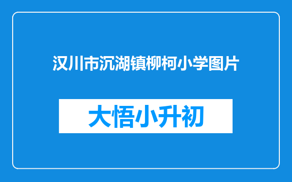 汉川市沉湖镇柳柯小学图片