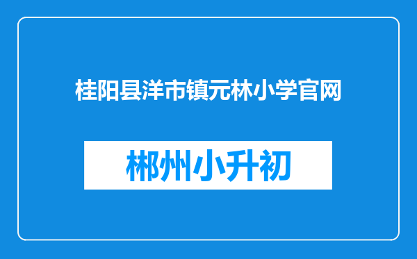 桂阳县洋市镇元林小学官网