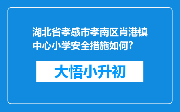 湖北省孝感市孝南区肖港镇中心小学安全措施如何？