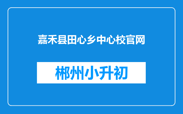 嘉禾县田心乡中心校官网