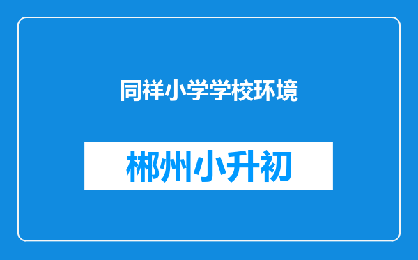 同祥小学学校环境