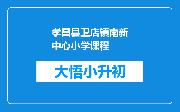 孝昌县卫店镇南新中心小学课程