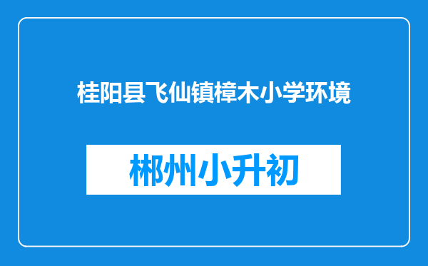 桂阳县飞仙镇樟木小学环境