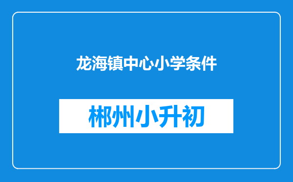 龙海镇中心小学条件