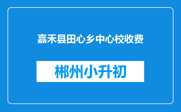 嘉禾县田心乡中心校收费