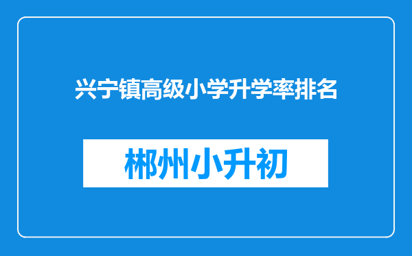 兴宁镇高级小学升学率排名