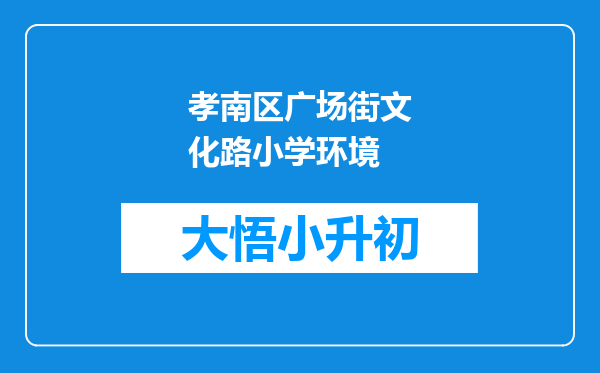 孝南区广场街文化路小学环境