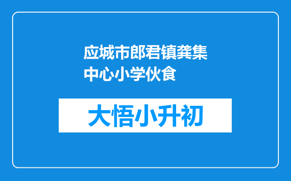 应城市郎君镇龚集中心小学伙食