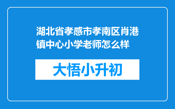 湖北省孝感市孝南区肖港镇中心小学老师怎么样