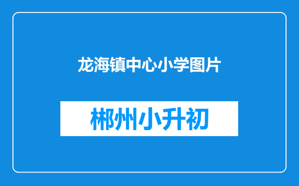 龙海镇中心小学图片