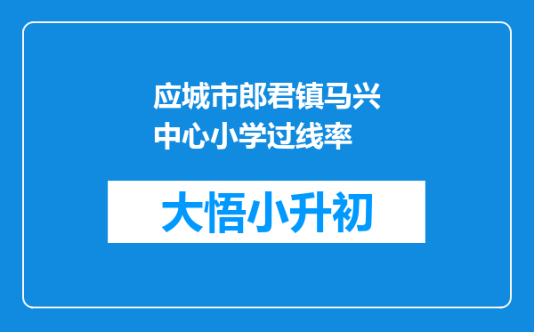 应城市郎君镇马兴中心小学过线率