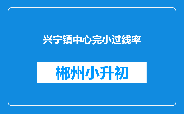 兴宁镇中心完小过线率