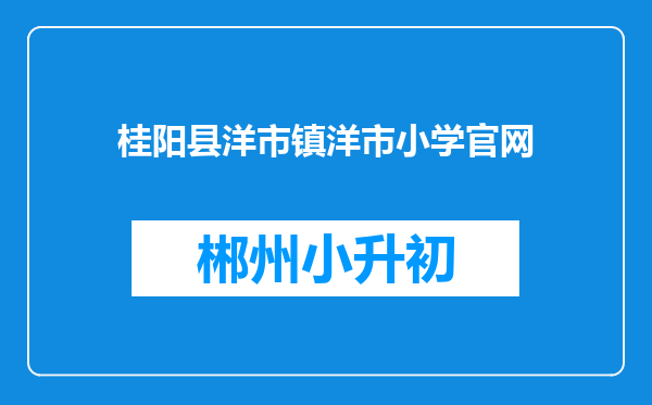 桂阳县洋市镇洋市小学官网