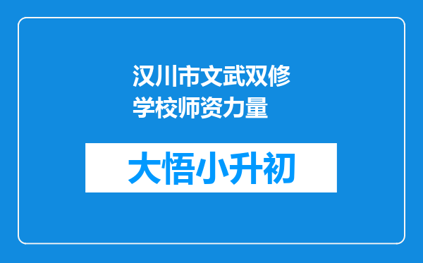 汉川市文武双修学校师资力量