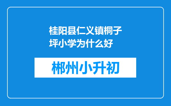 桂阳县仁义镇桐子坪小学为什么好