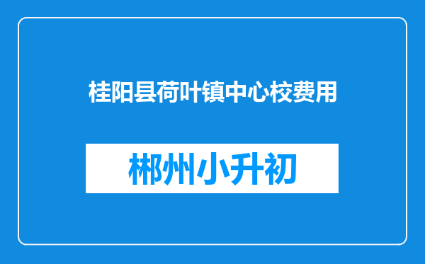 桂阳县荷叶镇中心校费用