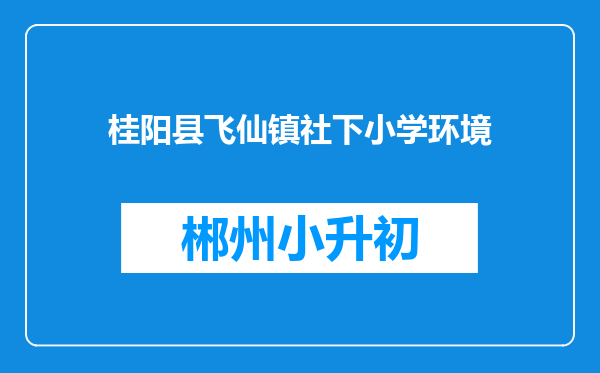 桂阳县飞仙镇社下小学环境