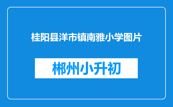 桂阳县洋市镇南雅小学图片