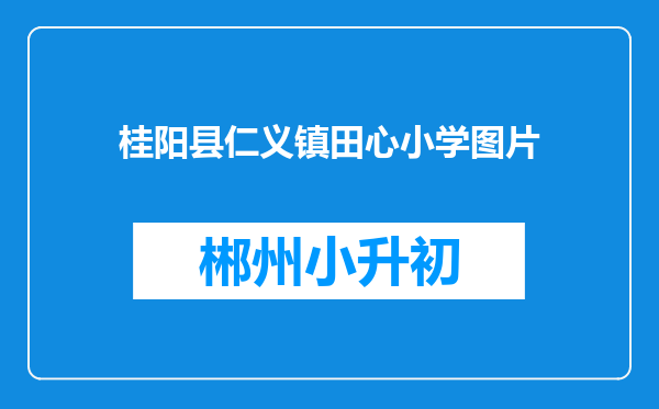 桂阳县仁义镇田心小学图片