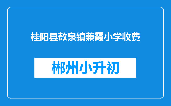 桂阳县敖泉镇兼霞小学收费
