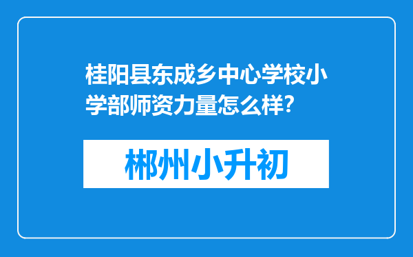 桂阳县东成乡中心学校小学部师资力量怎么样？