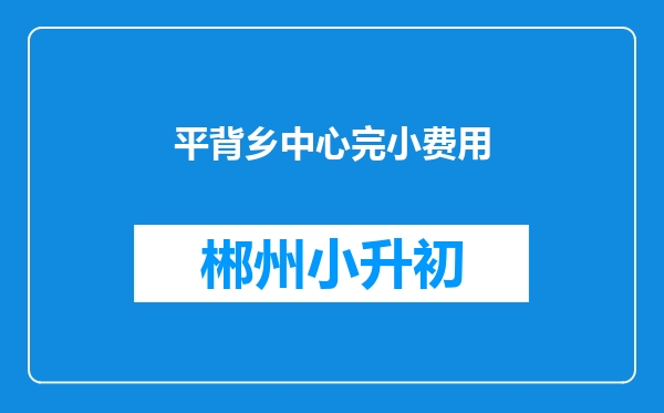 平背乡中心完小费用