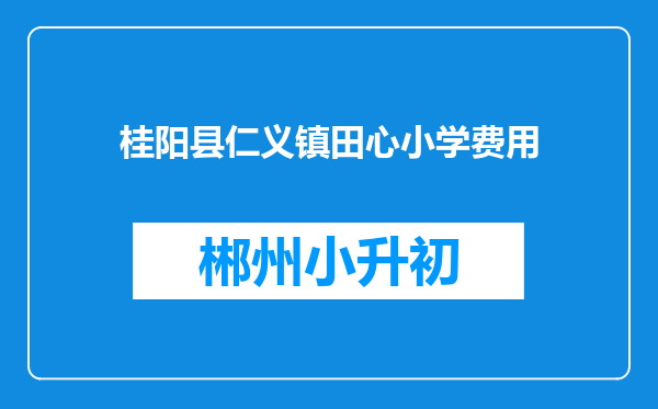桂阳县仁义镇田心小学费用