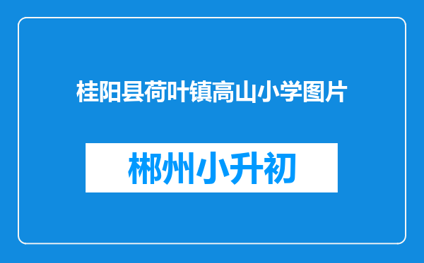 桂阳县荷叶镇高山小学图片