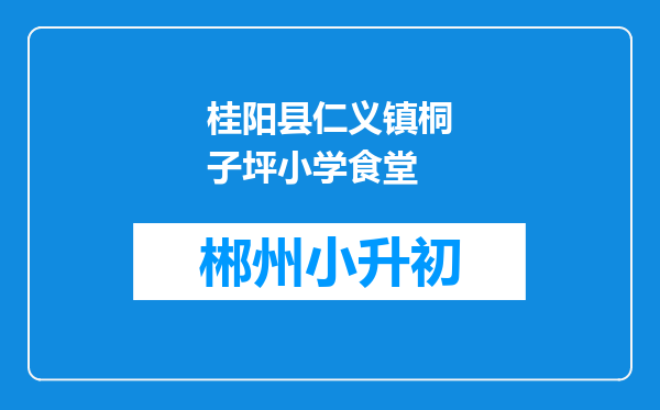 桂阳县仁义镇桐子坪小学食堂