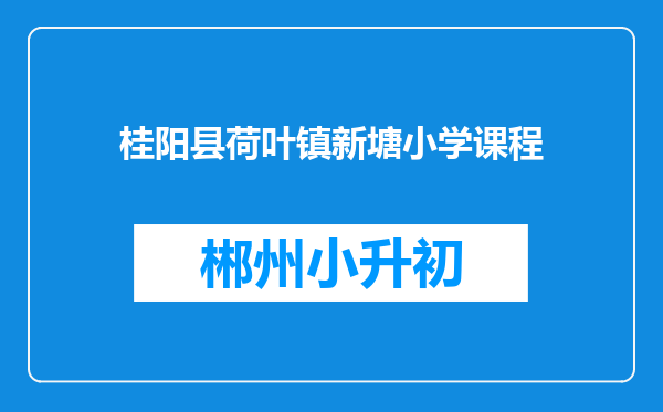 桂阳县荷叶镇新塘小学课程