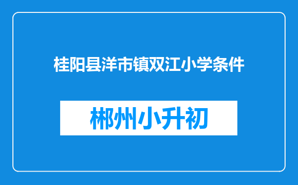桂阳县洋市镇双江小学条件