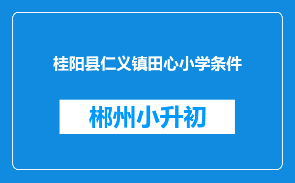 桂阳县仁义镇田心小学条件