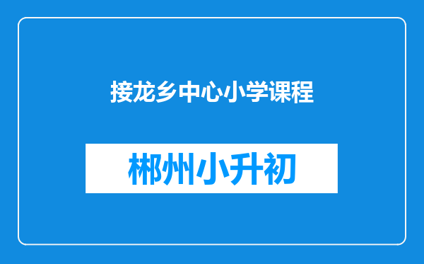 接龙乡中心小学课程