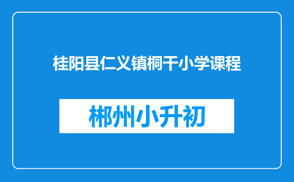 桂阳县仁义镇桐干小学课程
