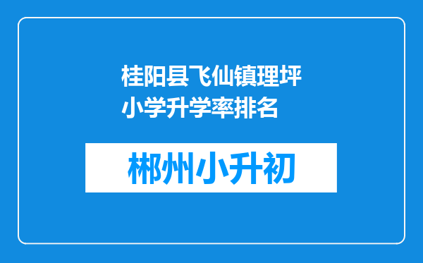 桂阳县飞仙镇理坪小学升学率排名