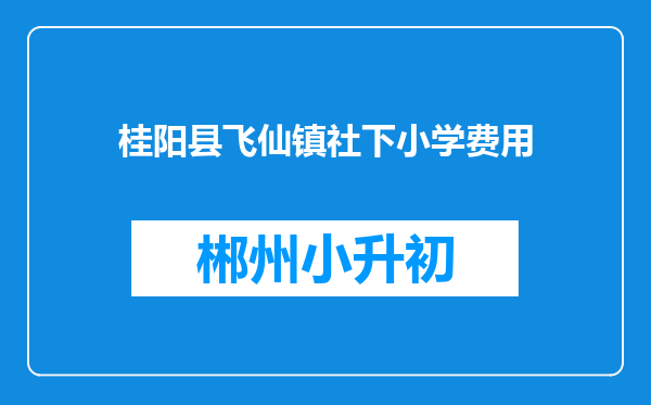 桂阳县飞仙镇社下小学费用